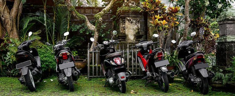 Motorcycle Oil Clocks Fastest Lube Growth, Kline