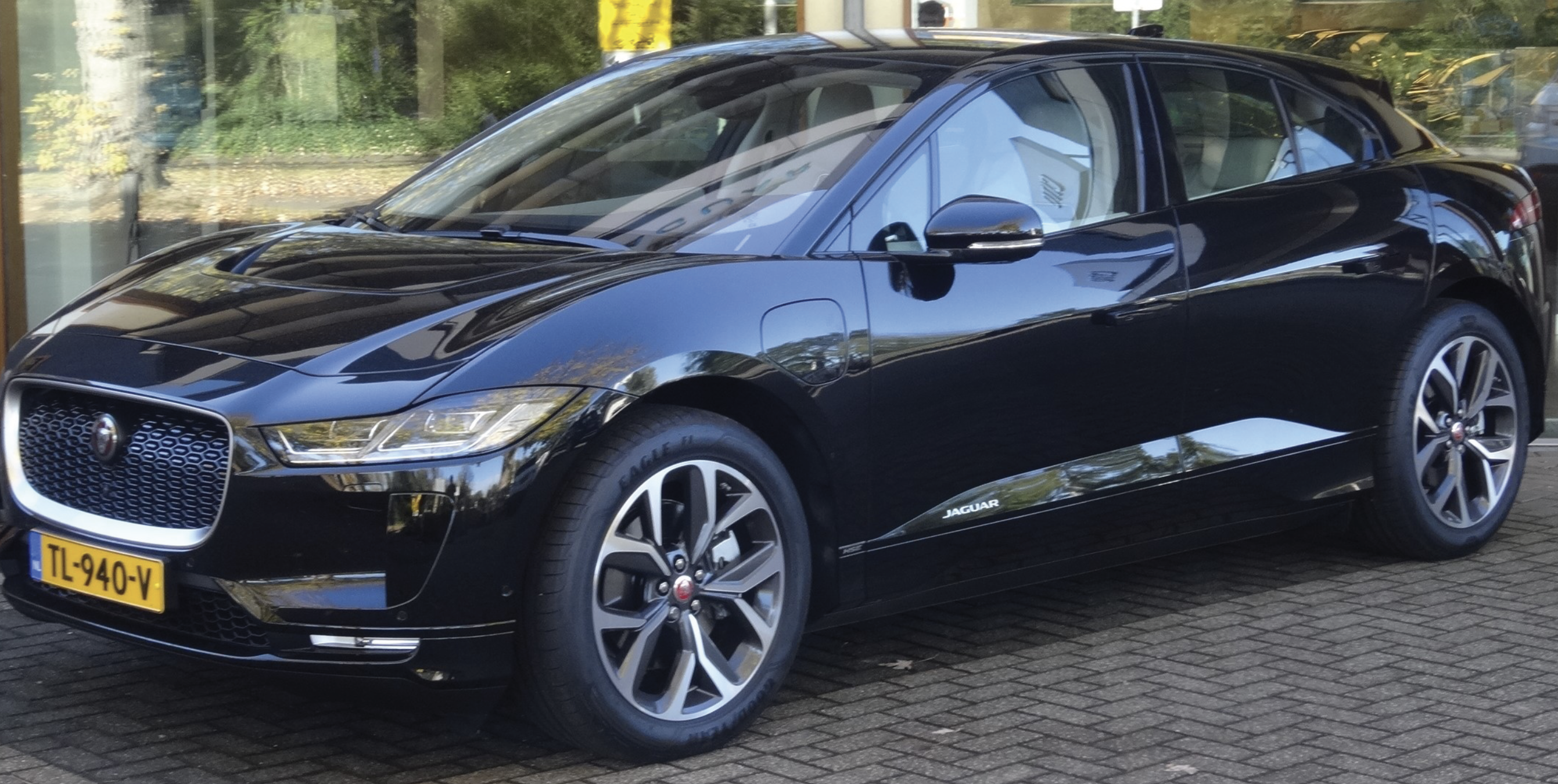 The Netherlands Leads the Charge