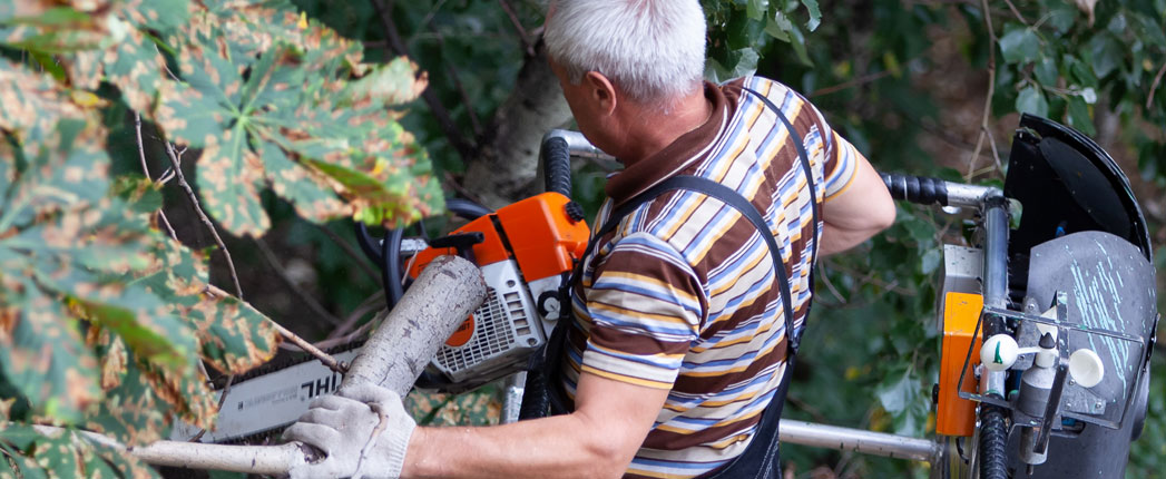 Stihl Fights Counterfeit Lubes in Russia Stihl Fights Counterfeit Lubes in Russia