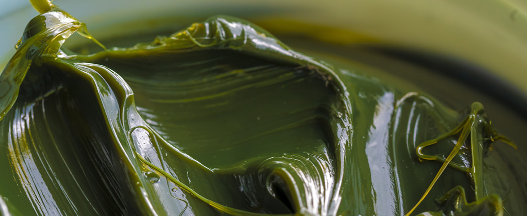 Lithium Thickeners Dip in Europe