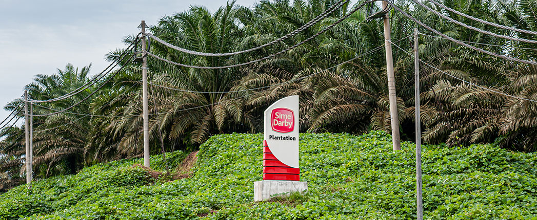 U.S. Blocks Sime Darby Palm Oil