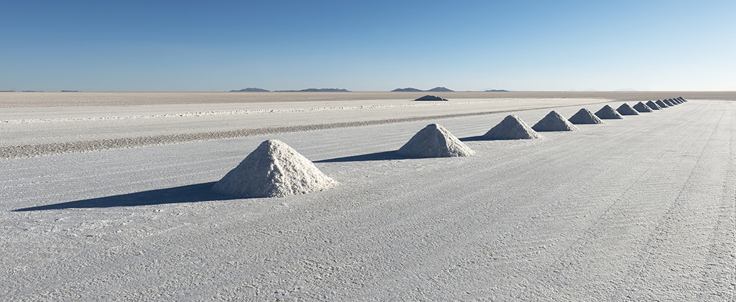 ELGI Warns of Lithium Classification