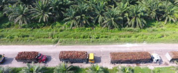 Thailand to Boost Bio-lubes, Palm Oil