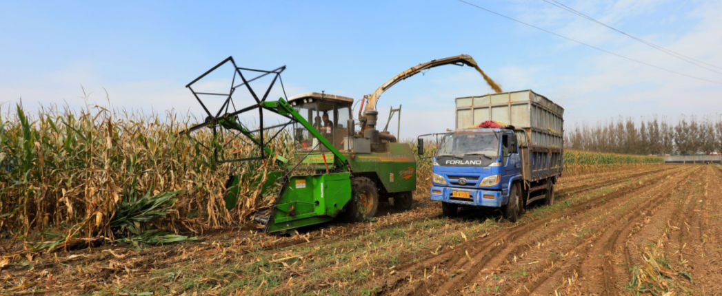 Farm Equipment Evolving in China