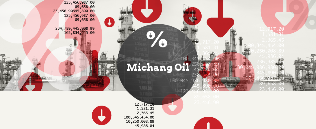 Michang Reports Lower Earnings