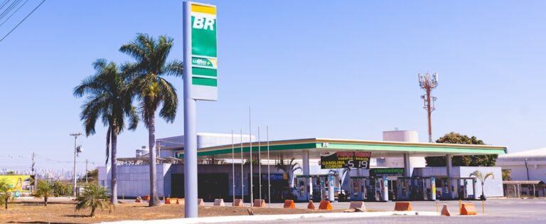 Vibra Mulls Moove Purchase