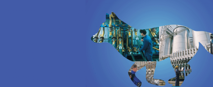 LNG-MAG-1026-fuchs